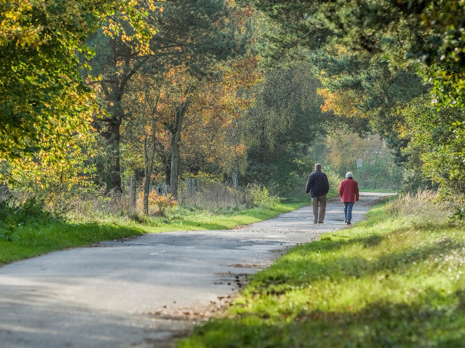 Spaziergang, Herbst, Wald, Weg